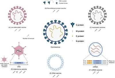 Frontiers | Analysis of the Protective Efficacy of Approved COVID